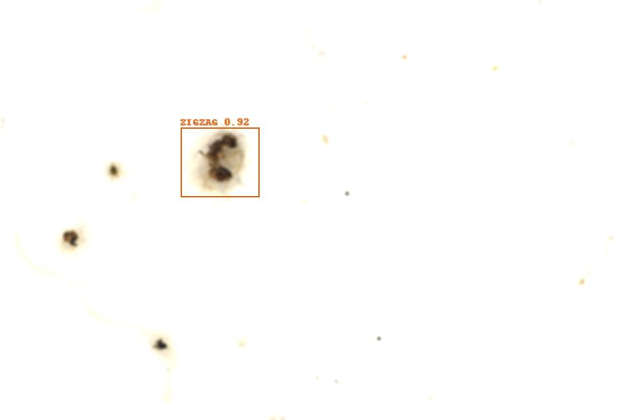 Image 70